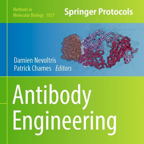 Antibody Engineering