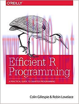Efficient R Programming: A Practical Guide to Smarter Programming 1st Edition,