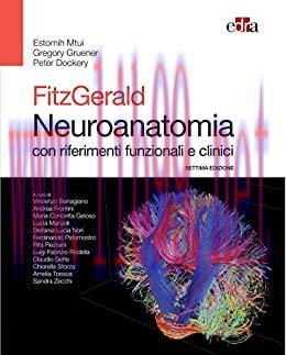 [AME]Fitzgerald Neuroanatomia: con riferimenti funzionali e clinici (Italian Edition) (Settima ...