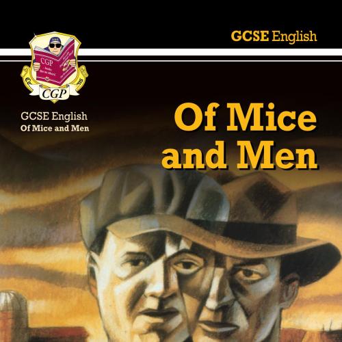 GCSE English Text Guide Anita and Me