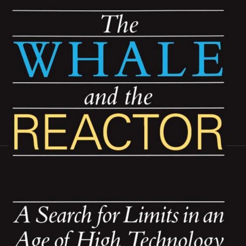 Whale and the Reactor_ A Search for Limits in an Age of High Technology, The