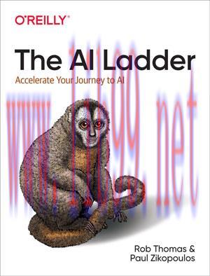 [SAIT-Ebook]The AI Ladder