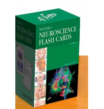 Netter’s Neuroscience Flash Cards