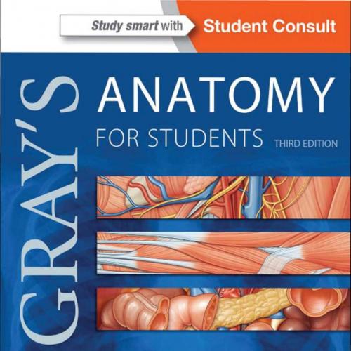Gray's Anatomy for Students 3rd edition - Wei Zhi
