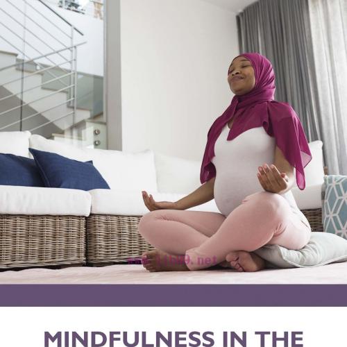[AME]Mindfulness in the Birth Sphere (Original PDF)