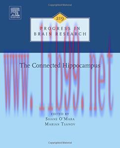 [AME]The Connected Hippocampus