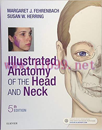 [PDF]Illustrated Anatomy of the Head and Neck, 5th Edition