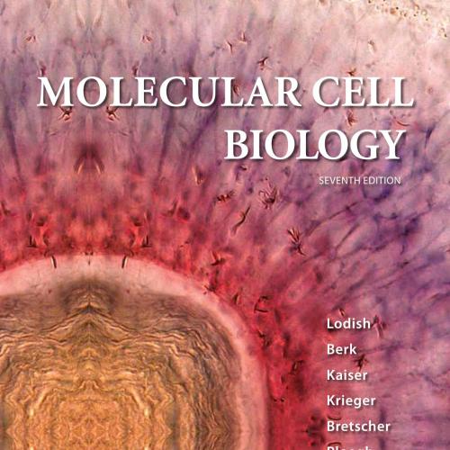 MOLECULAR CELL BIOLOGY SEVENTH EDITION-Harvey Lodish & Arnold Berk & Chris A. Kaiser & Monty Kr...
