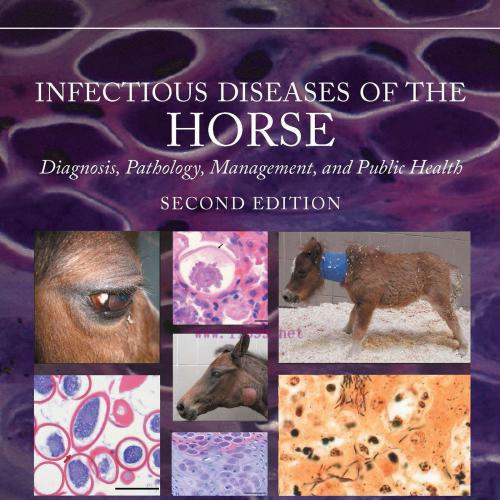 [AME]Infectious Diseases of the Horse, 2nd Edition (EPUB)