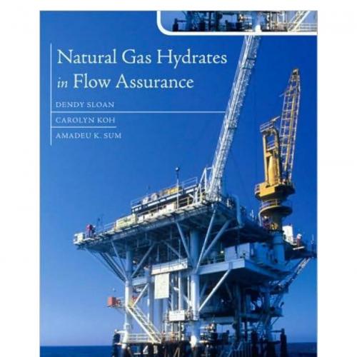 Natural Gas Hydrates in Flow Assurance