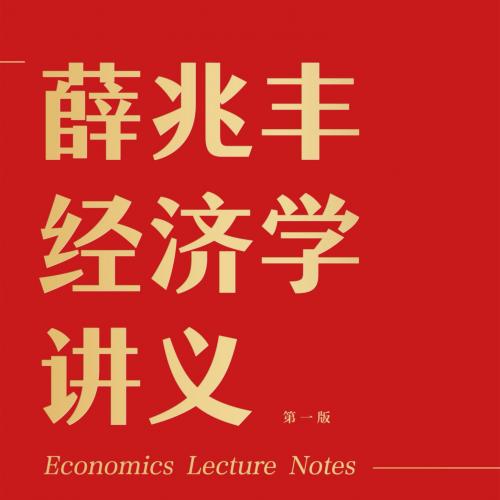 薛兆丰经济学讲义