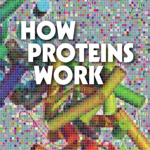 How Proteins Work by Michael Williamson