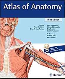 Atlas of Anatomy 3rd Edition