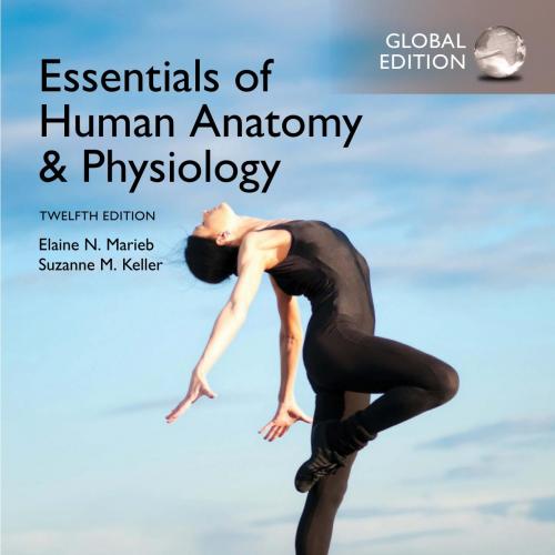 Essentials Of Human Anatomy & Physiology, Twelfth Edition, Global Edition-Elaine N. Marieb, Suz...
