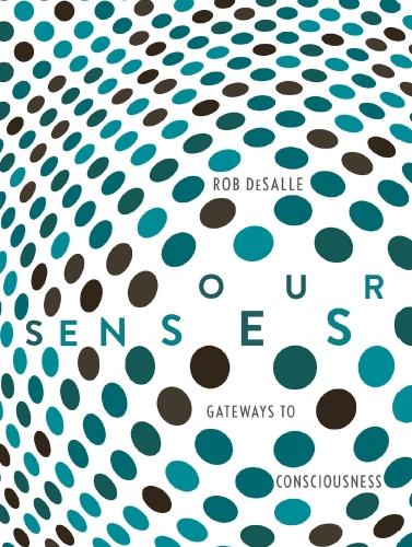 Our Senses An Immersive Experience