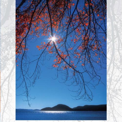 Applied Calculus, 4th Edition