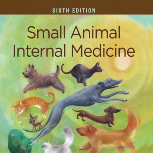 Small Animal Internal Medicine - E-Book 6th Edition