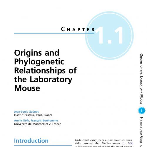 Laboratory Mouse, The