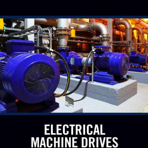 Electrical Machine Drives; Fundamental Basics and Practice - Claiton Moro Franchi