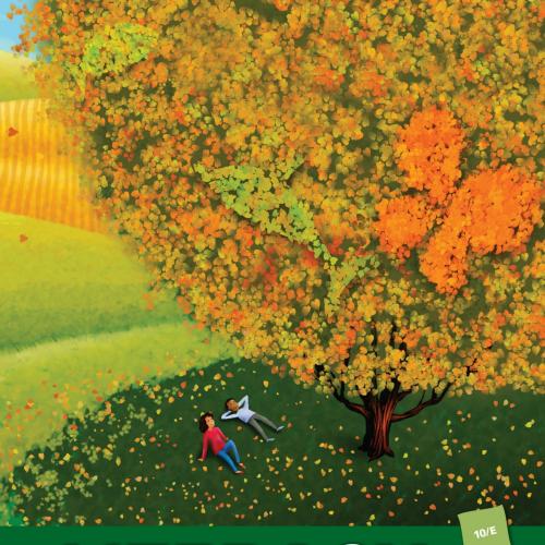 Literacy Helping Students Construct Meaning Literacy Helping Students Construct Meaning - Wei Z...