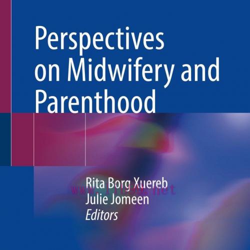 [AME]Perspectives on Midwifery and Parenthood (EPUB)
