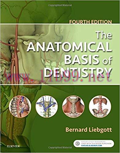 [PDF]The Anatomical Basis of Dentistry 4th Edition