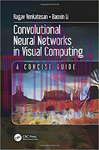 [PDF]Convolutional Neural Networks in Visual Computing