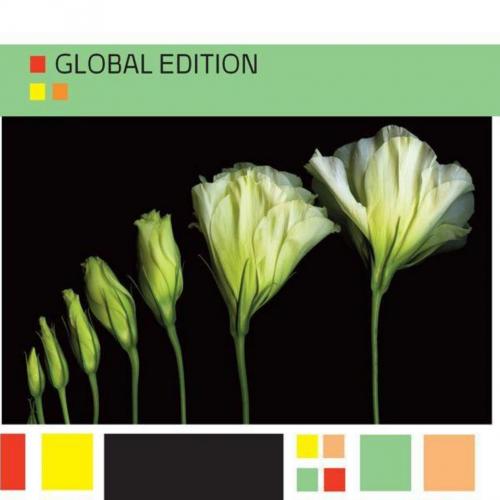 Investments 10th global edition Zvi Bodie