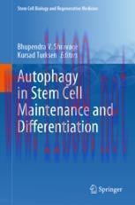 [PDF]Autophagy in Stem Cell Maintenance and Differentiation