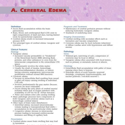 Neuropathology-A Volume in the High Yield Pathology Series
