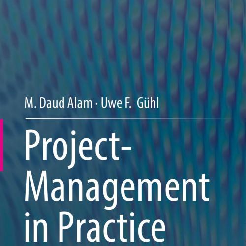 Project-Management in Practice A Guideline and Toolbox for Successful Projects 3662529432