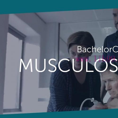 [AME]123sonography Musculoskeletal Ultrasound BachelorClass (CME Videos)