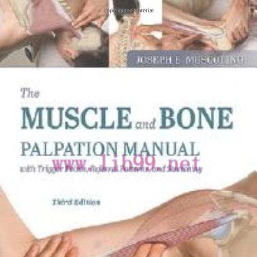 [AME]The Muscle and Bone Palpation Manual with Trigger Points, Referral Patterns and Stretching...