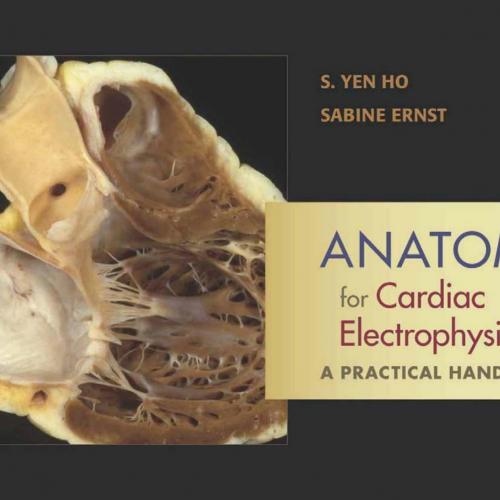Anatomy for Cardiac Electrophysiologists A Practical Handbook(Original PDF) - Wei Zhi