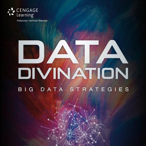 Data Divination Big Data Strategies 1305115082