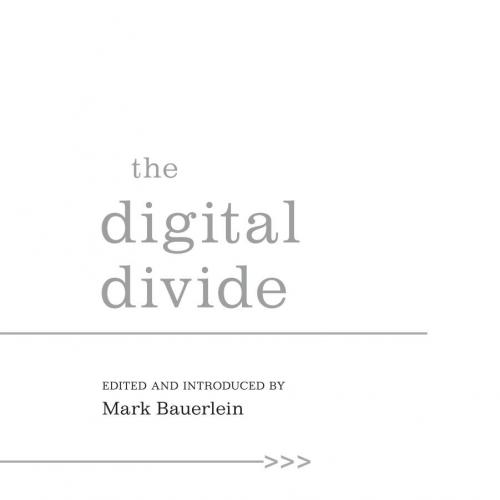 Digital Divide, The