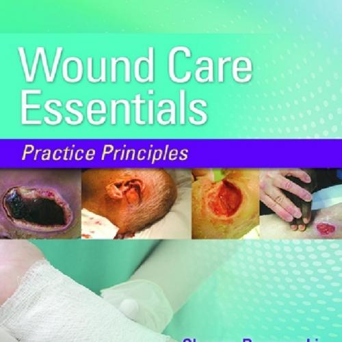 Wound Care Essentials Practice Principles 4th Edition