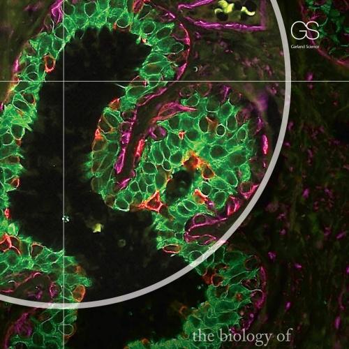 Biology of Cancer,2nd Edition, The