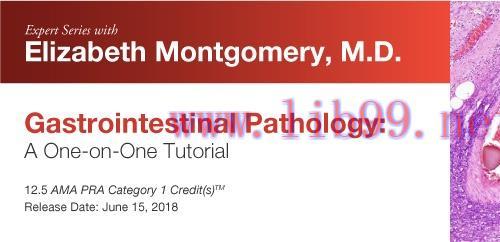 [AME]Expert Series with Elizabeth Montgomery, M.D.: Gastrointestinal Pathology: A One-On-One Tu...