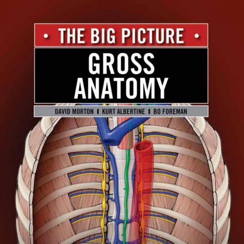Gross Anatomy-The Big Picture