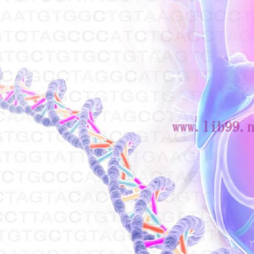 [AME]Echo Alaska Frontiers of Multimodality Imaging Including Echo, Cardiac CT and MRI 2023 - M...