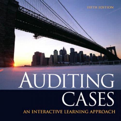 Auditing Cases An Interactive Learning Approach 5 - Wei Zhi