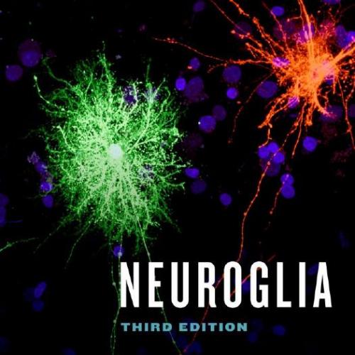 Neuroglia 3rd Edition by Bruce R. Ransom