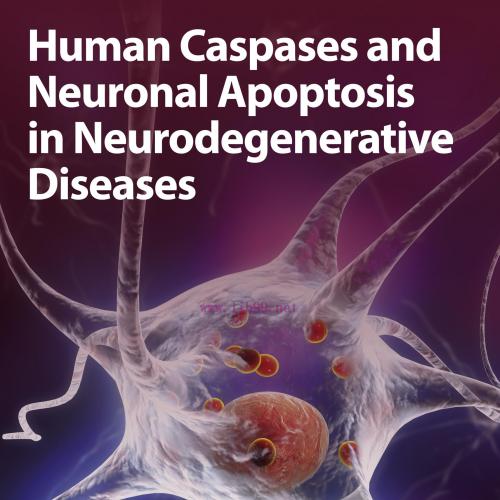 [AME]Human Caspases and Neuronal Apoptosis in Neurodegenerative Diseases (EPUB)