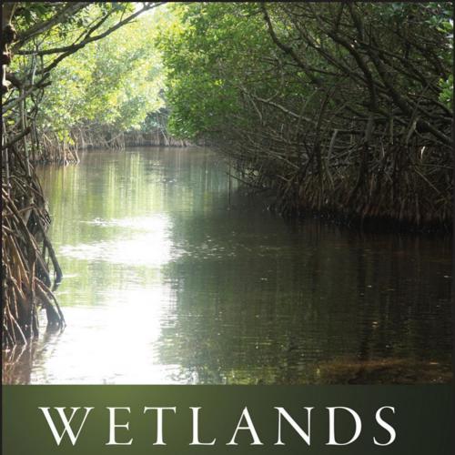 Wetlands - Mitsch, William J.; Gosselink, James G.;