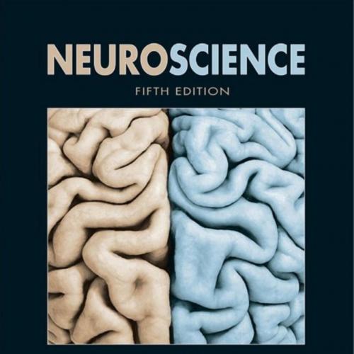 Neuroscience 5th Edition by Dale Purves