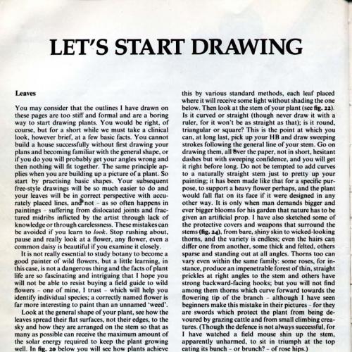 Learn To Paint Flowers