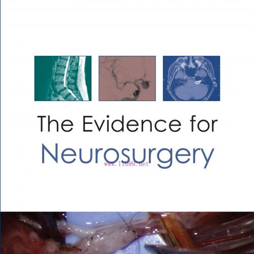 [AME]The Evidence for Neurosurgery (EPUB)