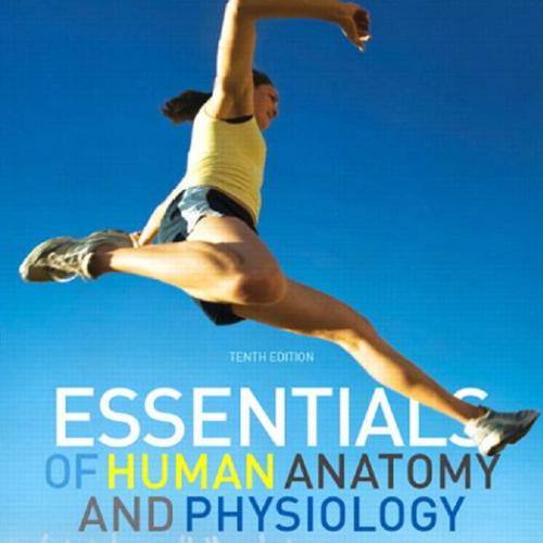 Essentials of Human Anatomy & Physiology, 10th Edition - Wei Zhi