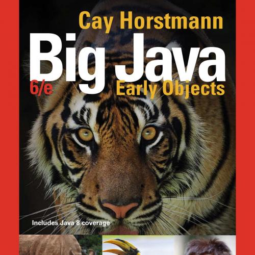 Big Java Early Objects 6th Edition Horstmann